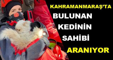 Kahramanmaraş’ta bulunan kedinin sahibi aranıyor