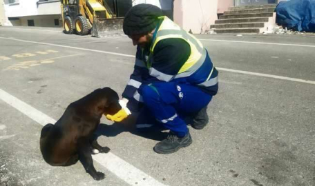 Nerede bir can varsa, orada Bursa var