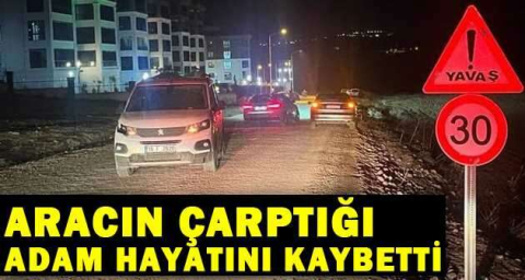 Aracın çarptığı adam hayatını kaybetti
