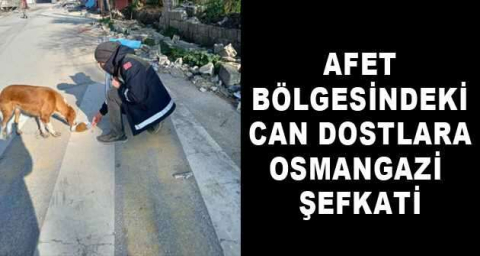 Afet bölgesindeki can dostlara Osmangazi şefkati