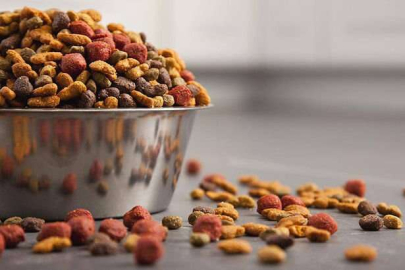 Hayvanlar için kuru mama alınacaktır