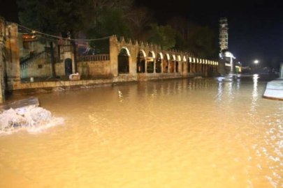 Balıklıgöl'de temizleme çalışmaları sürüyor: Balıklara oksijen takviyesi