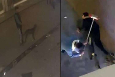 Pitbull 13 yaşındaki çocuğa saldırdı