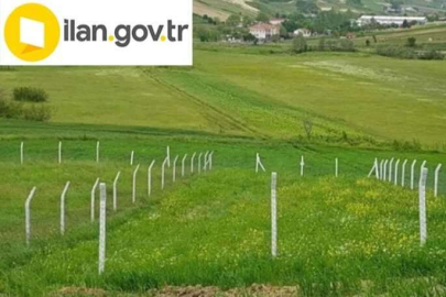 Mersin Mezitli'de 5.334 m² tarla mahkemeden satılıktır