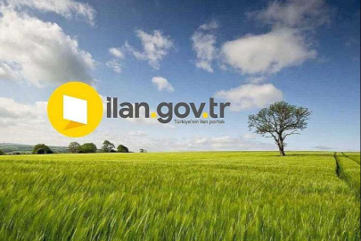 Balıkesir Gömeç Yaya Mahallesi'nde 1.365 m² arsanın 2/40 hissesi icradan satılıktır