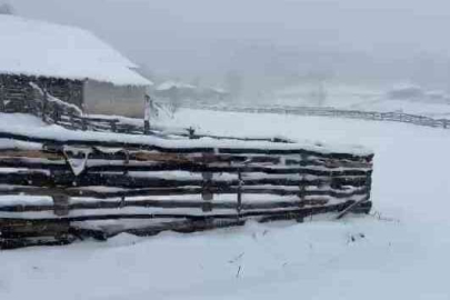 İznik'te mart ayında kar sürprizi