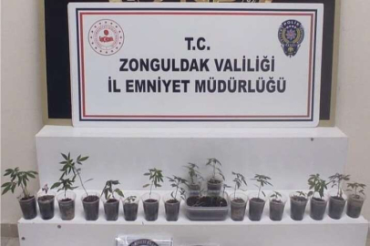 Uyuşturucu operasyonunda gözalatı