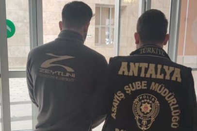 Antalya’da sazan sarmalı