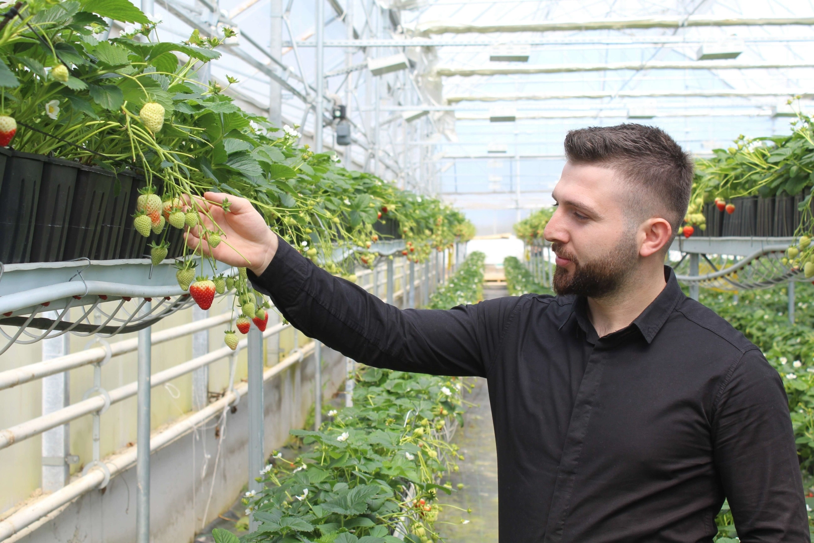 Sinop’ta üretiliyor, dünyaya ihraç ediliyor