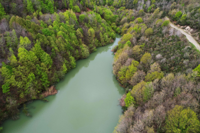 Ortaburun Tabiat Parkı baharla birlikte rengarenk oldu
