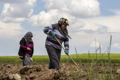 Dünya çiftçiler günü nedir? Ne zaman kutlanır?