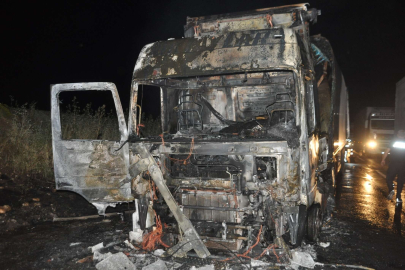 Seyir halindeki tır alev alev yandı