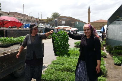 Havaların ısınması fide satışlarına yaradı