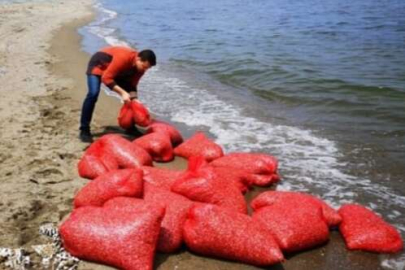 Bursa Mudanya'da ele geçirildi:Tam 700 kg şırlanı...