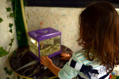 Annesiyle ev hapsindeki küçük kız için Bursa'da inceleme başlatıldı!