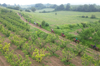 Bursa'da 350 yıl sonra keşfedilen yol!Atlarla yolculukta...