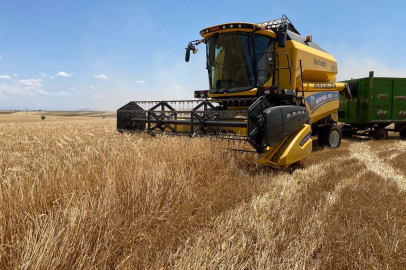 Adıyaman’da hububat hasadı başladı