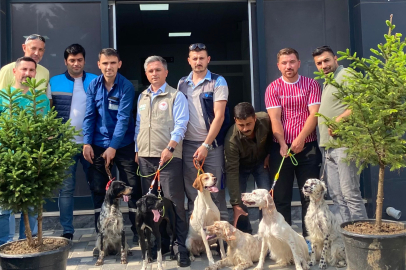 Av köpeklerine aşı ve çip uygulaması