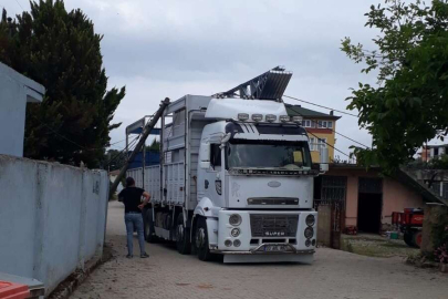 Bursa'da mahalleyi elektriksiz bıraktıran olay !Yüksekliği hesap edemeyince...