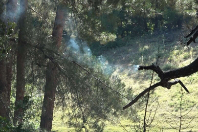 Bursa'da Nilüfer ve Keles ilçelerinde orman yangını çıktı