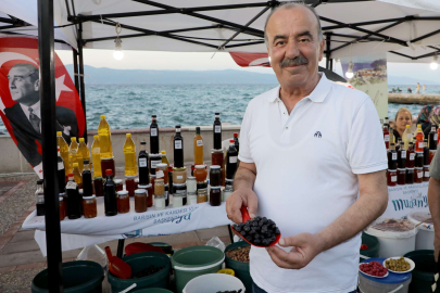 Bursa Mudanya'da Tirilye Zeytin Şenliği