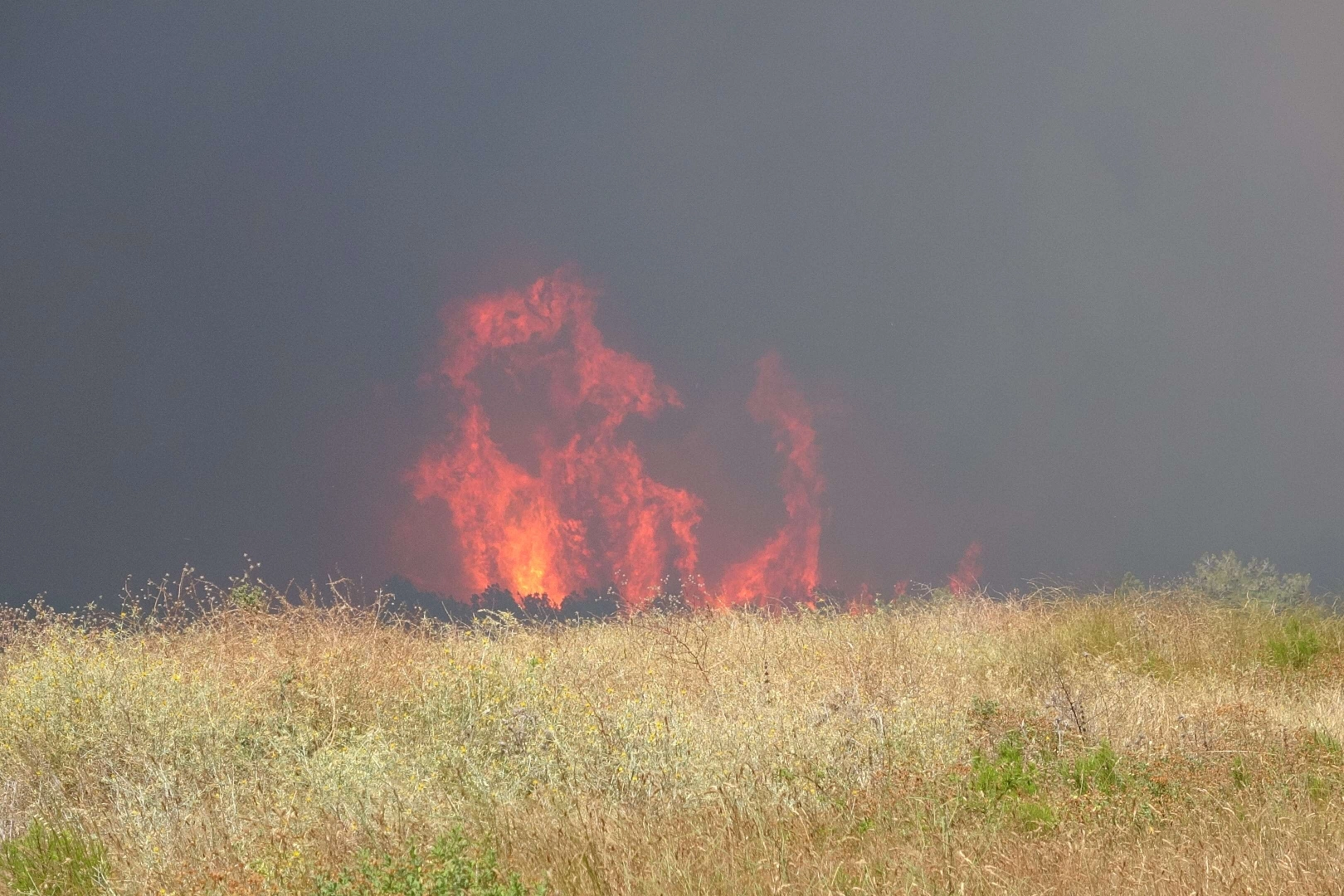 Çanakkale'de 3 bin 500 futbol sahası büyüklüğünde alan yandı