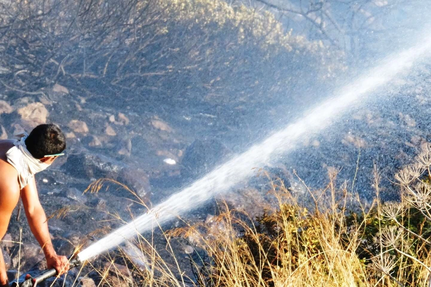 Bodrum’da Ali Kelle Ormanı kül oldu