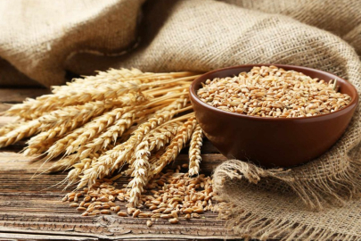 Kuraklık 'buğday'ı vurdu, fiyatlar yükselecek