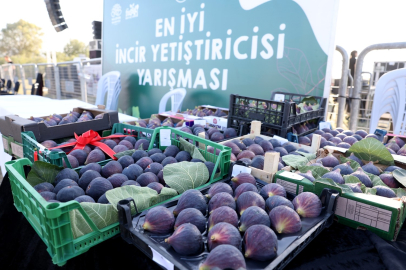Bursa'da festival!Muhteşem göl manzarasında üretici ile tüketici buluştu
