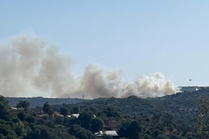 Orman yangınına müdahale ediliyor