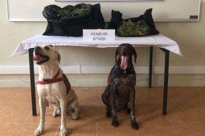 Ticari taksideki yolcunun çantasından uyuşturucu çıktı