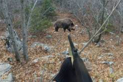 Domuz avında kan aktı!1 ölü 1 yaralı