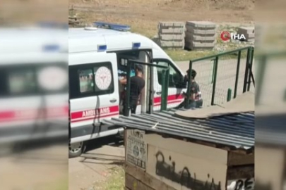 Alo acil 112 tavuğum yaralandı