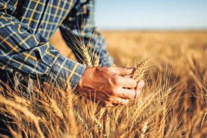 Tarımda izin almadan üretim yapılamayack