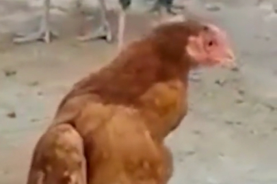 Bu kadar da olmaz deneyin!