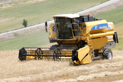 Çiftçilere buğday tohumu desteği