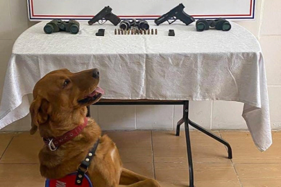 Silah kaçakçılarına operasyon