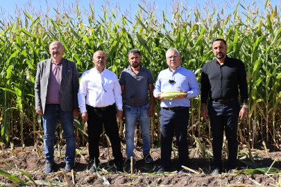 200 bin ton rekolte bekleniyor