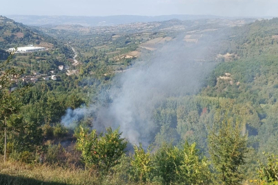 Bahçesindeki çalıları ateşe verdi, zehirlendi