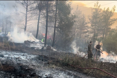 Bursa'daki o yangın kontrol altında