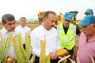 Cihadiye Köyü’nde mısır hasat etkinliği