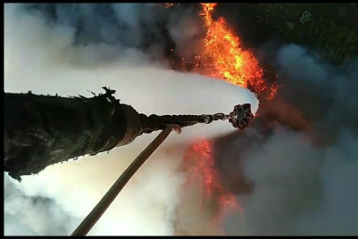 Ormanlık alanda  yangın!