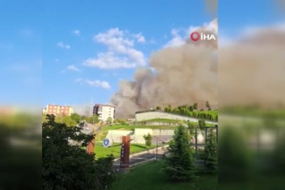 Bursa’daki orman yangınına havadan böyle müdahale edildi