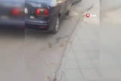 Çocukların ateşle oyunu 3 aracı böyle küle çevirdi