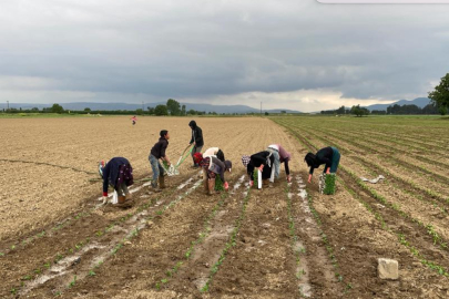 Destek icmallerine itiraz için bugün son gün