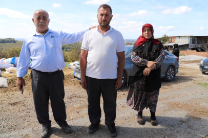 Hayvanlarını telef eden sokak köpekleri mahalleliyi isyan ettirdi