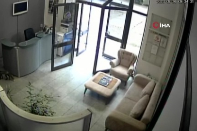 Televizyon binasına giren tilki ortalığı birbirine kattı