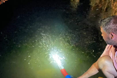 Bursa'nın o gölüne sazan yavruları bırakıldı