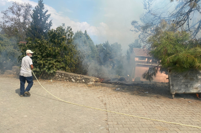 Trafo patladı! Ağaçlar alev aldı