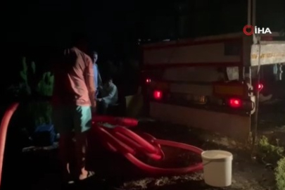 İznik Gölü’ne 2 milyon 200 bin sazan salındı